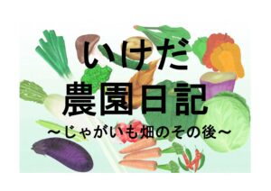 いけだ農園日記　じゃがいもを植えてから1カ月半！その後の畑の様子は・・・(^^)